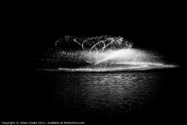 Water Fountain - Black & White | Hever Castle Picture Board by Adam Cooke