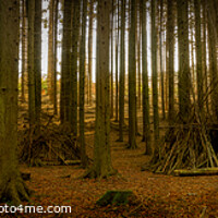 Buy canvas prints of In The Woods | Panoramic | Limpsfield Common by Adam Cooke