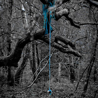 Buy canvas prints of Rope Swing | Limpsfield Common by Adam Cooke