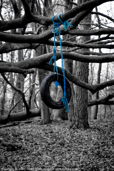 Tyre Swing | Limpsfield Common Picture Board by Adam Cooke