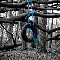 Buy canvas prints of Tyre Swing | Limpsfield Common by Adam Cooke