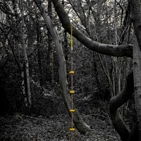 Buy canvas prints of Rope Swing | Selsdon Wood Nature Reserve by Adam Cooke