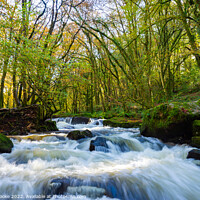 Buy canvas prints of Landscape View of Golitha Falls | Bodmin Moor | Cornwall by Adam Cooke