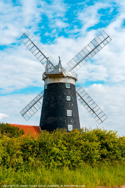 Burnham Overy Windmill | Norfolk Picture Board by Adam Cooke