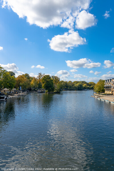 River Thames | Windsor Picture Board by Adam Cooke