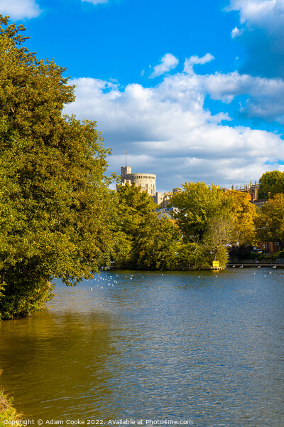 Windsor Castle | River Thames | Windsor Picture Board by Adam Cooke