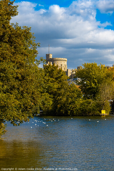 Windsor Castle | River Thames | Windsor Picture Board by Adam Cooke