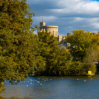 Buy canvas prints of Windsor Castle | River Thames | Windsor by Adam Cooke