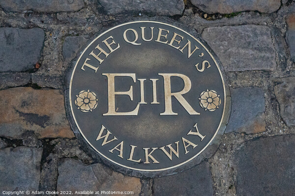 The Queen's Walkway | Windsor Picture Board by Adam Cooke