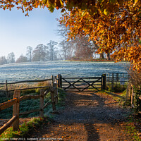 Buy canvas prints of Winter/Autumn Field | Leeds Castle by Adam Cooke