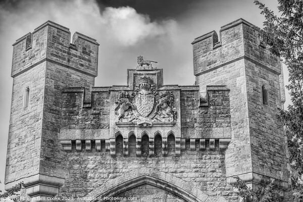Arundel Castle | Arundel Picture Board by Adam Cooke