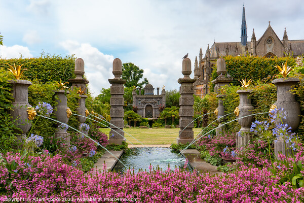 Arundel Castle | Tropical Gardens | Arundel Picture Board by Adam Cooke