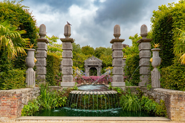 Arundel Castle | Tropical Gardens | Arundel Picture Board by Adam Cooke