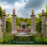 Buy canvas prints of Arundel Castle | Tropical Gardens | Arundel by Adam Cooke