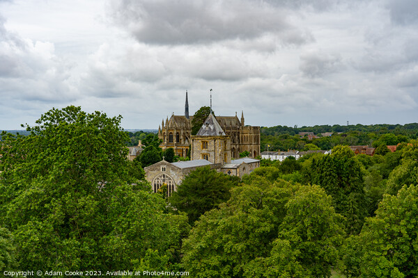 Arundel Cathedral of Our Lady & St Philip Howard | Picture Board by Adam Cooke