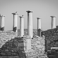 Buy canvas prints of Pillars of Delos | Mykonos | Greece by Adam Cooke