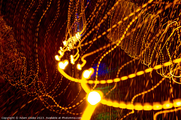 Abstract Light Trail | Bedgebury Forest Picture Board by Adam Cooke