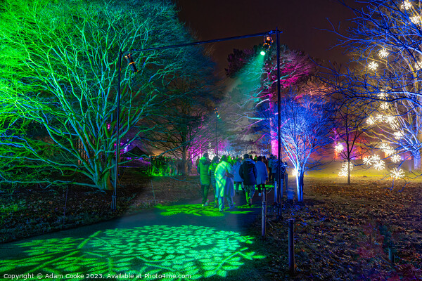 Kew Gardens Light Trail | London Picture Board by Adam Cooke