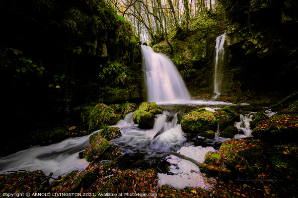 Sloughan Glen waterfall Drumquin Northern Ireland Picture Board by Arnie Livingston