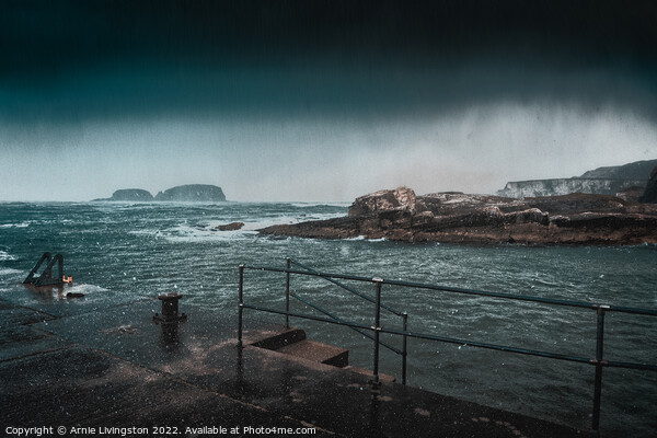 Ballintoy harbour Picture Board by Arnie Livingston