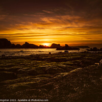Buy canvas prints of Majestic Sunset at Ballintoy by Arnie Livingston
