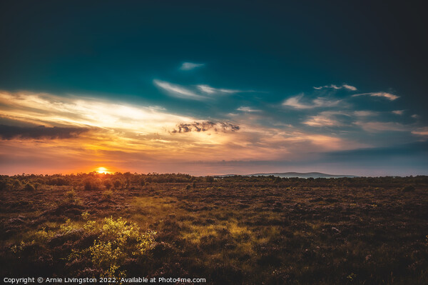 Majestic Sunset Beauty Picture Board by Arnie Livingston