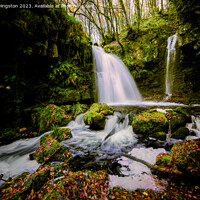 Buy canvas prints of Sloughan Glen Waterfall by Arnie Livingston
