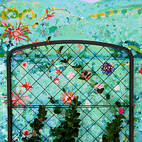 Buy canvas prints of Flower Gate by Tony Mumolo