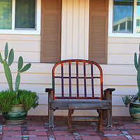 Buy canvas prints of Bench and Cactus by Tony Mumolo