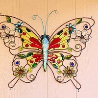 Buy canvas prints of Butterfly Decor by Tony Mumolo