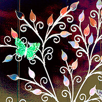 Buy canvas prints of Green Butterfly by Tony Mumolo