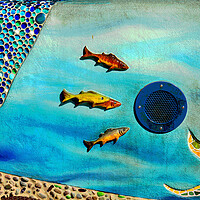 Buy canvas prints of Fish by Tony Mumolo