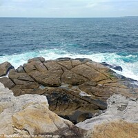 Buy canvas prints of Beautiful view of the coast from Bondi Beach, New South Wales, Australia by John Brady