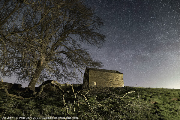 Swaledale barn and trees under the stars Picture Board by Paul Clark