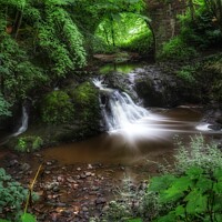 Buy canvas prints of Arbirlot waterfall by Neil Cargill