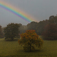 Buy canvas prints of Autumn Rainbow Tunbridge Wells by Bear Newbury