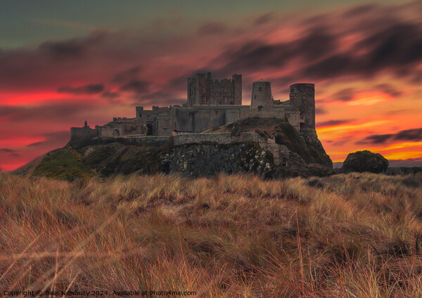 Bamburgh Castle Sunset Picture Board by Bear Newbury