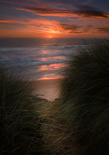 Hauxley Dunes Sunrise Picture Board by Bear Newbury