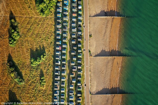 Top down Tankerton Beach Huts Picture Board by Evolution Drone