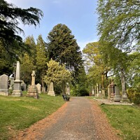 Buy canvas prints of Path through a cemetery  by Steven McNamee