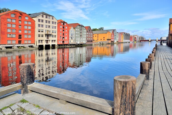 Trondheim reflections. Picture Board by Roy Curtis