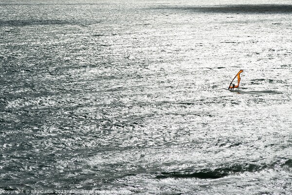 Lone Wind Surfer Picture Board by Roy Curtis