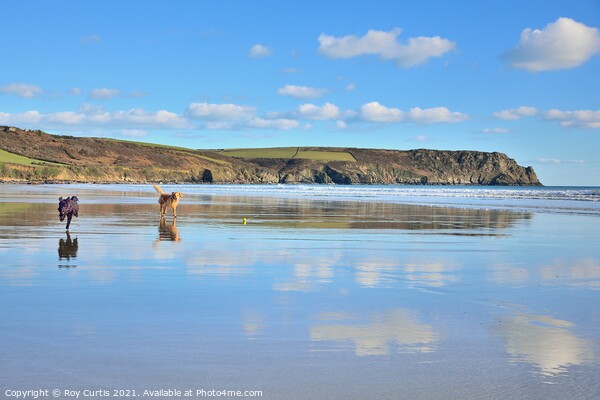 Carne Beach Reflections. Picture Board by Roy Curtis