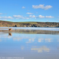 Buy canvas prints of Carne Beach Reflections. by Roy Curtis