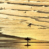 Buy canvas prints of Fistral Surf Silhouettes by Roy Curtis