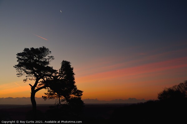 South Hams Dawn. Picture Board by Roy Curtis