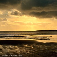 Buy canvas prints of Pendower Beach Golden Sunset by Roy Curtis