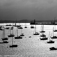 Buy canvas prints of Falmouth Harbour Silhouettes by Roy Curtis
