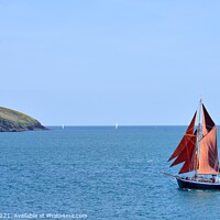Buy canvas prints of Falmouth Traditional Red Sailed Boat by Roy Curtis
