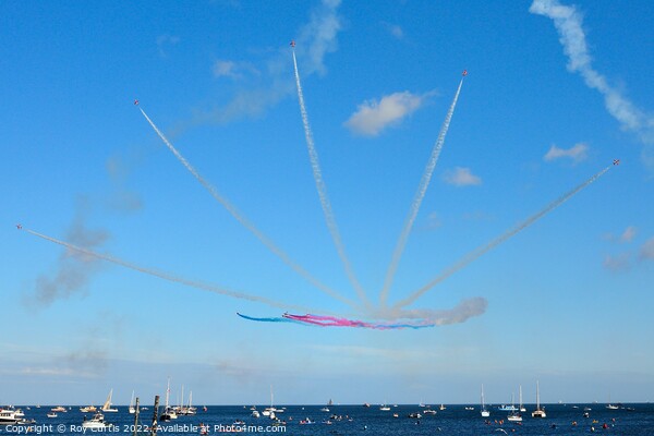 The Red Arrows over Falmouth Bay Picture Board by Roy Curtis